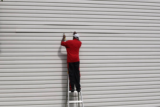 Best Stucco Siding  in Centreville, MI